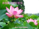 ֹ,󷨵ӹףʦ(27)
