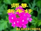 Published on 12/31/2015 ���ֹ�,���󷨵��ӹ�ףʦ�������(28��)
