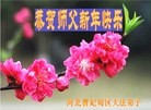ֹ,ӱ󷨵ӹףʦ(24)
