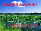 ֹ,ʡ󷨵ӹףʦ(26)
