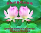 Published on 12/31/2015 ���ֹ�,���󷨵��ӹ�ףʦ���������(18��)
