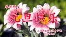ֹ,Ϻ󷨵ӹףʦ(22)
