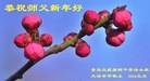 ֹ,ൺ󷨵ӹףʦ(25)
