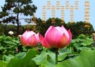 ֹ,󷨵ӹףʦ(24)
