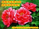 ֹ,ʡ󷨵ӹףʦ(26)
