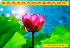 ֹ,ʡ󷨵ӹףʦ(26)
