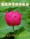 Published on 1/1/2016 ���ֹ�,��½�󷨵��ӹ�ףʦ���������(25��)
