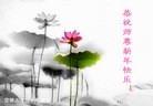 Published on 12/29/2015 ���ֹ�,��½�󷨵��ӹ�ףʦ���������(27��)
