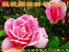 Published on 1/1/2016 ���ֹ�,��½�󷨵��ӹ�ףʦ���������(25��)
