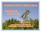 Published on 1/1/2016 ���ֹ�,��½�󷨵��ӹ�ףʦ���������(25��)
