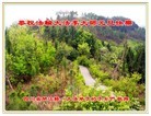 Published on 1/1/2016 ���ֹ�,��½�󷨵��ӹ�ףʦ���������(25��)
