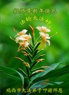 Published on 1/1/2016 ���ֹ�,��½�󷨵��ӹ�ףʦ���������(42��)
