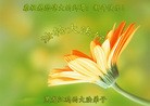 Published on 1/1/2016 ���ֹ�,��½�󷨵��ӹ�ףʦ���������(42��)
