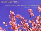 ֹ,ϴ󷨵ӹףʦ(30)
