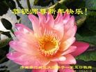 Published on 1/1/2016 ���ֹ�,��½�󷨵��ӹ�ףʦ���������(25��)
