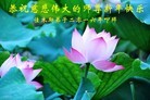 Published on 1/1/2016 ���ֹ�,��½�󷨵��ӹ�ףʦ���������(25��)
