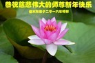 Published on 1/1/2016 ���ֹ�,��½�󷨵��ӹ�ףʦ���������(25��)
