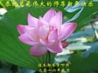 Published on 1/1/2016 ���ֹ�,��½�󷨵��ӹ�ףʦ���������(25��)
