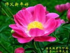 Published on 1/1/2016 ���ֹ�,��½�󷨵��ӹ�ףʦ���������(25��)
