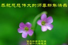 Published on 1/1/2016 ���ֹ�,��½�󷨵��ӹ�ףʦ���������(25��)
