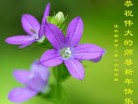 Published on 1/1/2016 ���ֹ�,��½�󷨵��ӹ�ףʦ���������(25��)
