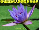 Published on 12/29/2015 ���ֹ�,��½�󷨵��ӹ�ףʦ���������(27��)
