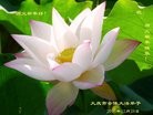 Published on 12/29/2015 ���ֹ�,��½�󷨵��ӹ�ףʦ���������(27��)
