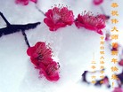 Published on 12/29/2015 ���ֹ�,��½�󷨵��ӹ�ףʦ���������(38��)
