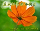 Published on 12/29/2015 ���ֹ�,��½�󷨵��ӹ�ףʦ���������(35��)
