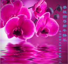 Published on 12/31/2015 ���ֹ�,��½�󷨵��ӹ�ףʦ���������(26��)
