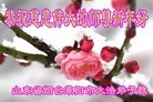 Published on 12/31/2015 ���ֹ�,��½�󷨵��ӹ�ףʦ���������(26��)

