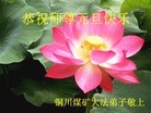 法轮功,陕西大法弟子恭祝师尊新年快乐(27条)
