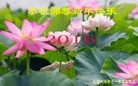ֹ,󷨵ӹףʦ(28)
