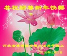 Published on 1/1/2016 ���ֹ�,��½�󷨵��ӹ�ףʦ���������(37��)
