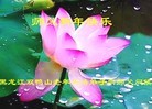 Published on 1/1/2016 ���ֹ�,��½�󷨵��ӹ�ףʦ���������(42��)

