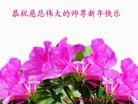 Published on 1/1/2016 ���ֹ�,��½�󷨵��ӹ�ףʦ���������(42��)
