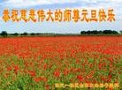 ֹ,󷨵ӹףʦ(31)
