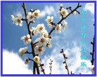法轮功,大庆大法弟子恭祝师尊新年快乐(26条)
