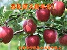 ֹ,󷨵ӹףʦ(27)
