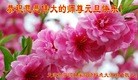 ֹ,󷨵ӹףʦ(27)
