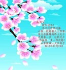 法轮功,山东大法弟子恭祝师尊新年快乐(25条)
