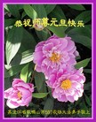 ֹ,󷨵ӹףʦ(23)
