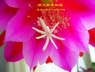 ֹ,󷨵ӹףʦ(23)
