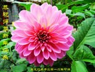 ֹ,󷨵ӹףʦ(23)
