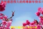 ֹ,󷨵ӹףʦ(25)
