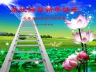 ֹ,󷨵ӹףʦ(22)
