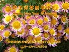 ֹ,ľ˹󷨵ӹףʦ(27)
