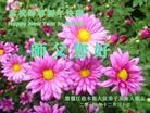 ֹ,ľ˹󷨵ӹףʦ(27)
