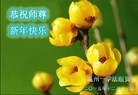Published on 1/1/2016 ���ֹ�,��½�󷨵��ӹ�ףʦ���������(15��)
