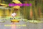法轮功,陕西大法弟子恭祝师尊新年快乐(27条)
